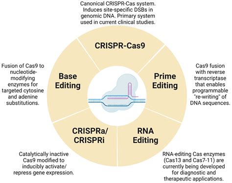Can Crispr Form Organoids: Common Challenges And Troubleshooting Tips