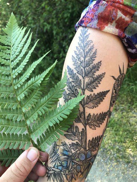 Fern Army Tattoos Fern Army Tattoos