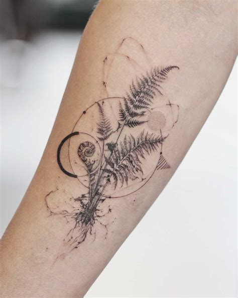 Ferns Tattoo Art From Nature Ferns Tattoo Art From Nature