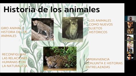 The Future Of Manuel Valtierra Atopy Reports: Trends And Breakthroughs