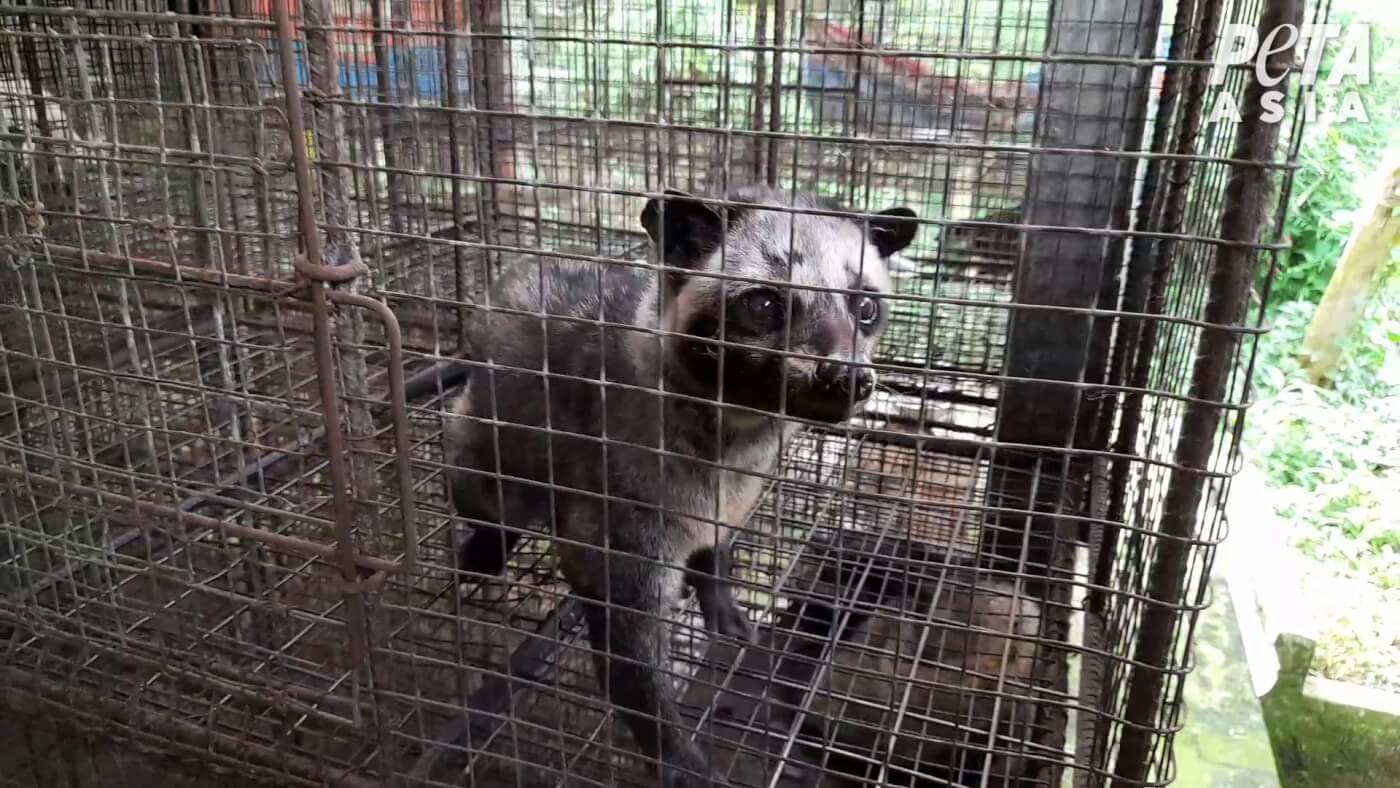 Peta Jensen Has An Insane Body Peta Jensen Has An Insane Body