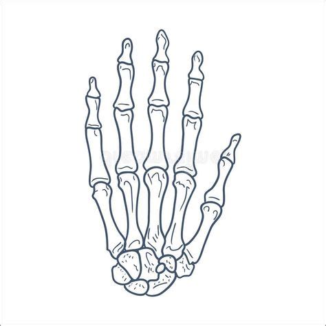Skeleton Hand Tattoo Stencil Skeleton Hand Tattoo Stencil